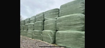 Lot 2024 Haylage Bales 80 x 90x 6ft long (20 of)