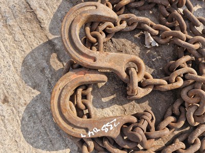 Lot 219 - Heavy Duty 2 Leg Lifting Chains