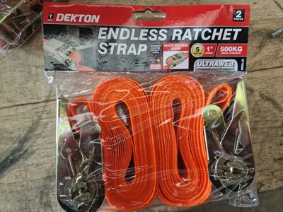 Lot 36 - 2Pcs 500Kg Endless Ratchet Strap (8 of)