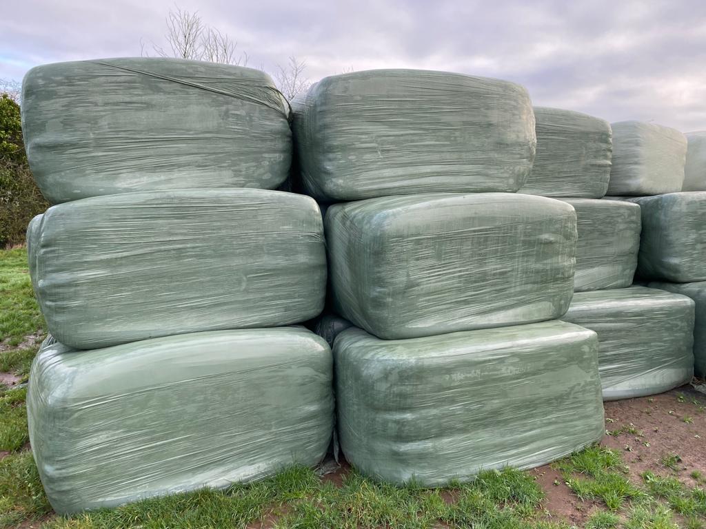 Lot 67 - 80x90 Haylage 6’6 Second Cut, Double Wrapped