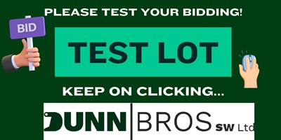 Lot TEST LOT - PLEASE TEST YOUR BIDDING